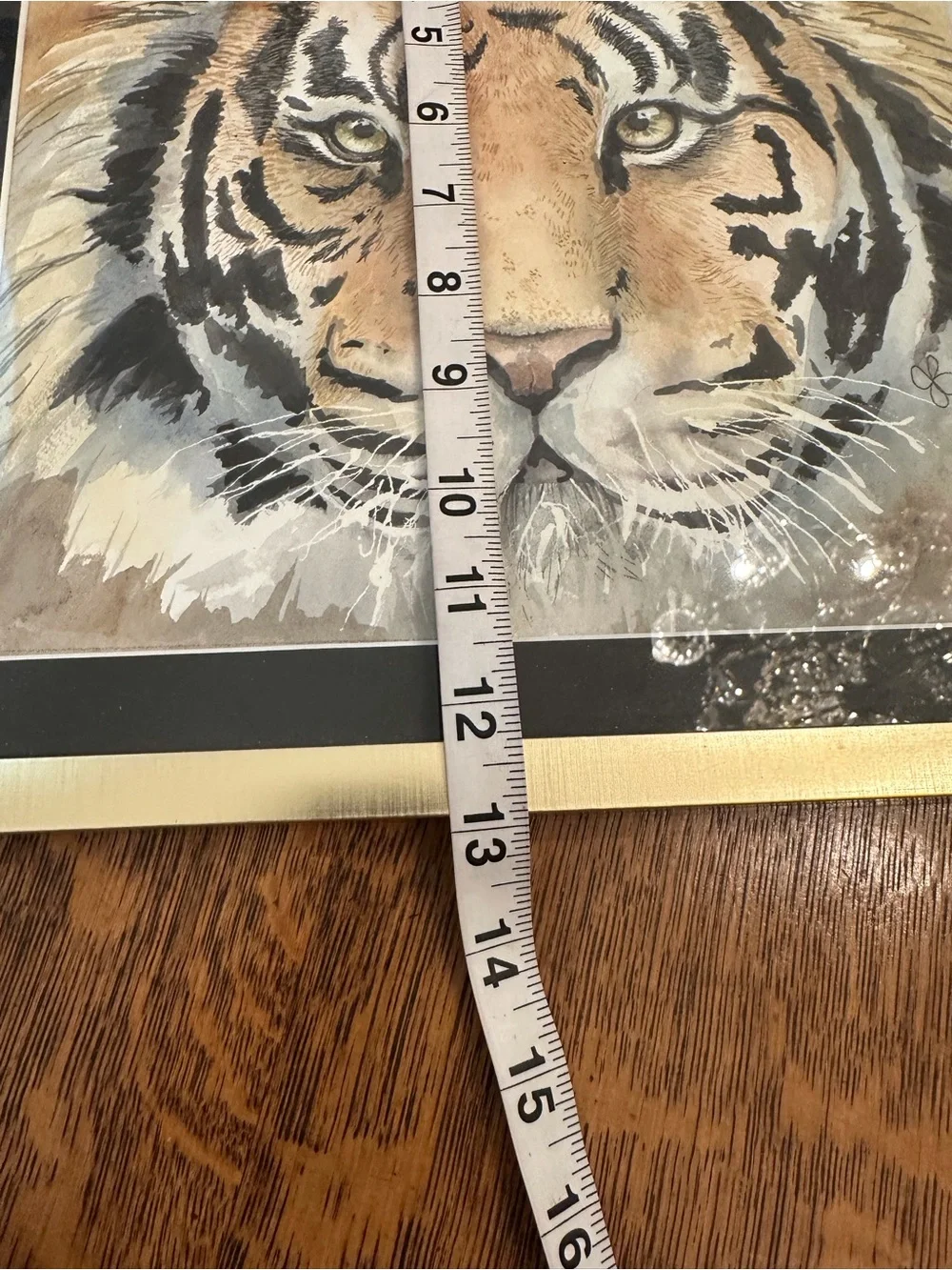Framed Tiger Wildlife Art Print Black & Gold Frame 13” x 13” Wall Decor